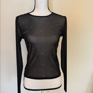 Express Elegant Black Long‎ Sleeve Sheer Top